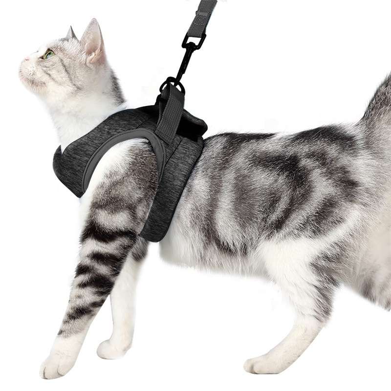 Cat Leash Pet Chest Harness Leash, Size: M(Sky Blue)