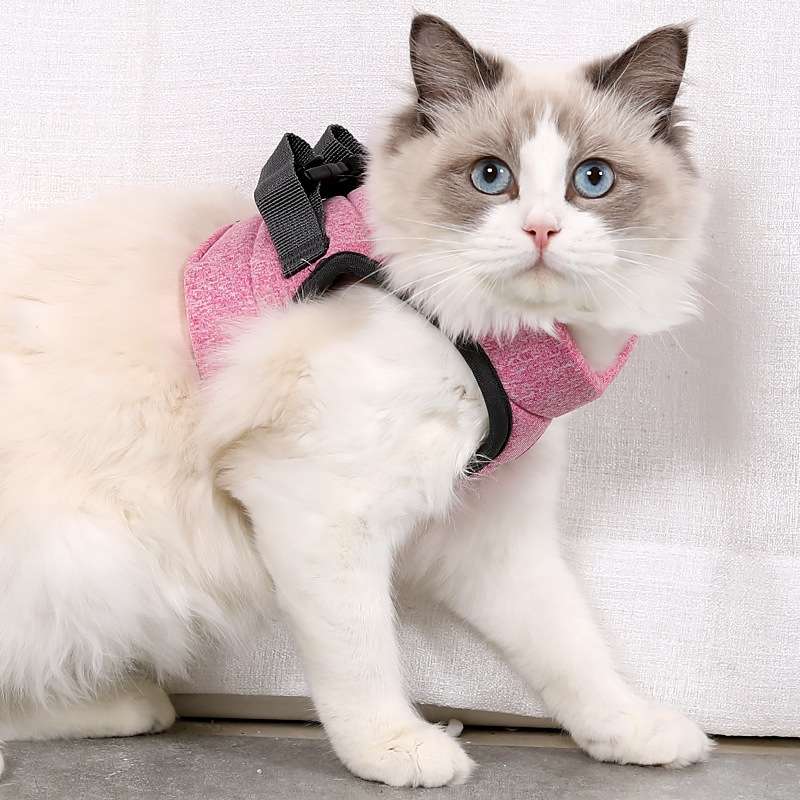 Cat Leash Pet Chest Harness Leash, Size: M(Sky Blue)