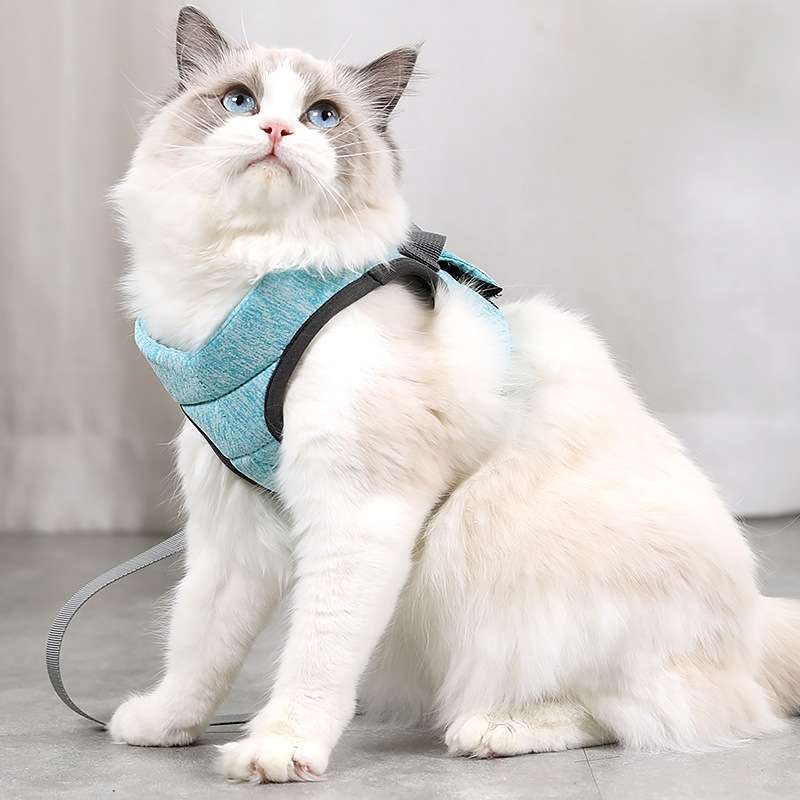 Cat Leash Pet Chest Harness Leash, Size: M(Sky Blue)