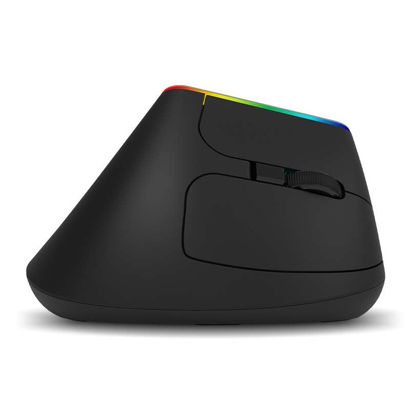 DELUX M618C 6 Keys 1600 DPI RGB Vertical Wireless Bluetooth Dual Mode Mouse(White)