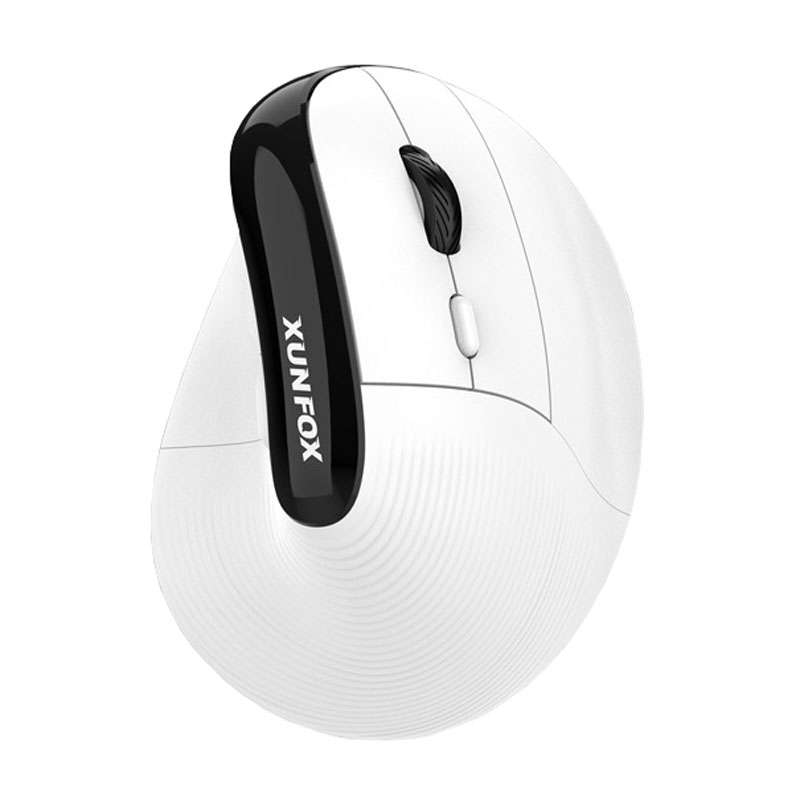 XUNSVFOX H5 Upright Vertical Dual Mode Mouse Rechargeable Wireless Business Office Mouse(Black)