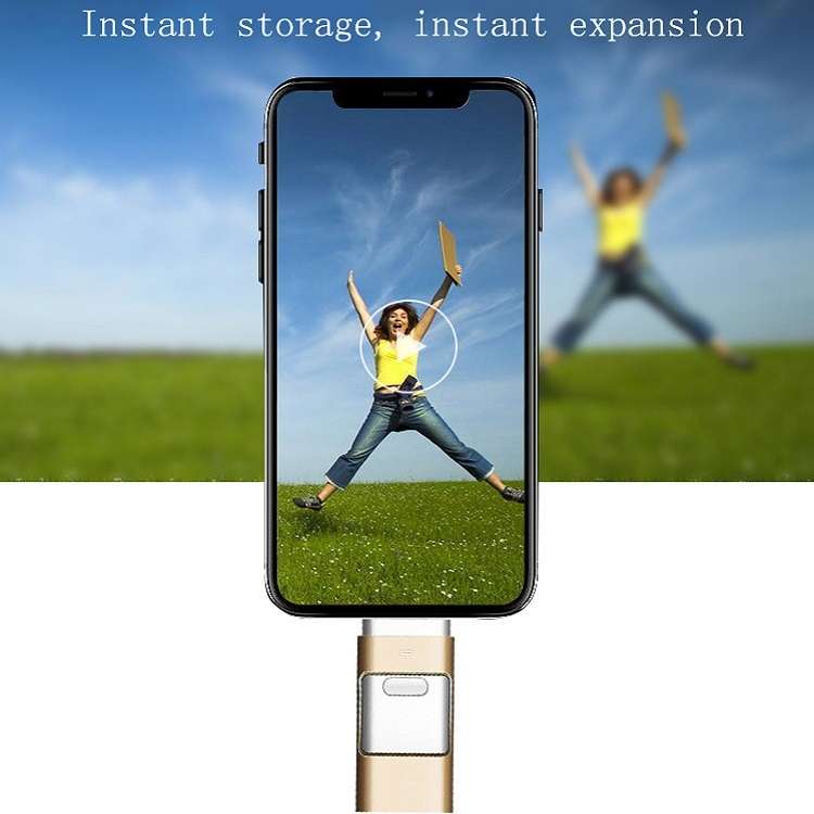 256GB Type-C + 8 Pin + USB 3.0 3 In 1 OTG Metal USB Flash Drive(Black)