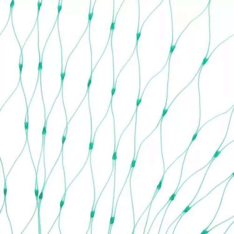 5Mx10M Anti Bird Protection Net Mesh Garden Plant Netting Protect Plants and Fruit