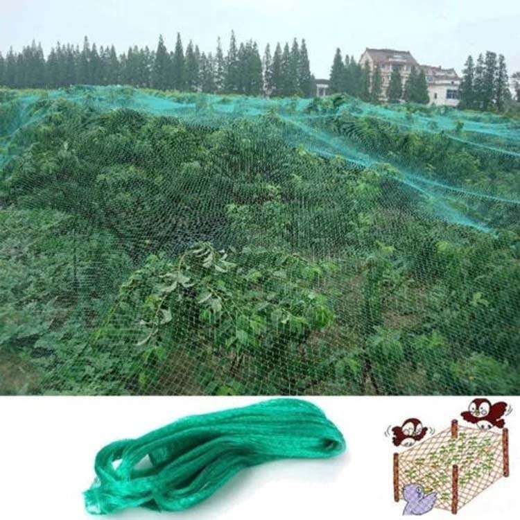 5Mx10M Anti Bird Protection Net Mesh Garden Plant Netting Protect Plants and Fruit
