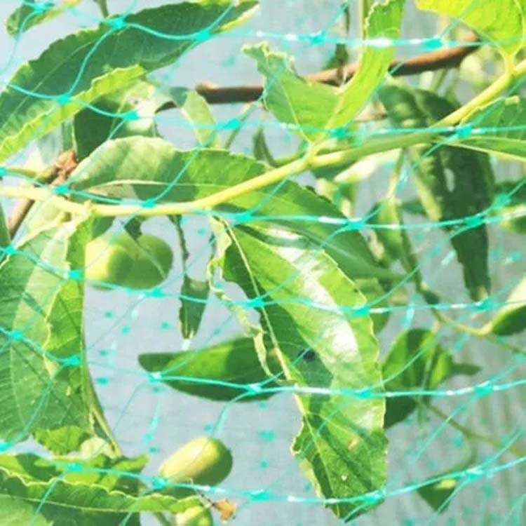5Mx10M Anti Bird Protection Net Mesh Garden Plant Netting Protect Plants and Fruit