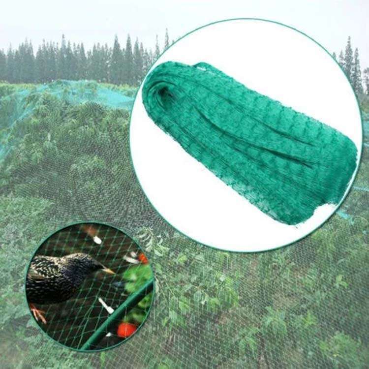 5Mx10M Anti Bird Protection Net Mesh Garden Plant Netting Protect Plants and Fruit