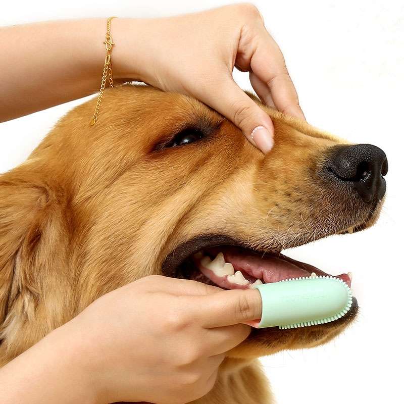 Pets Finger Toothbrush With Handle Dogs And Cats Oral Cleaning Tools(Yellow)
