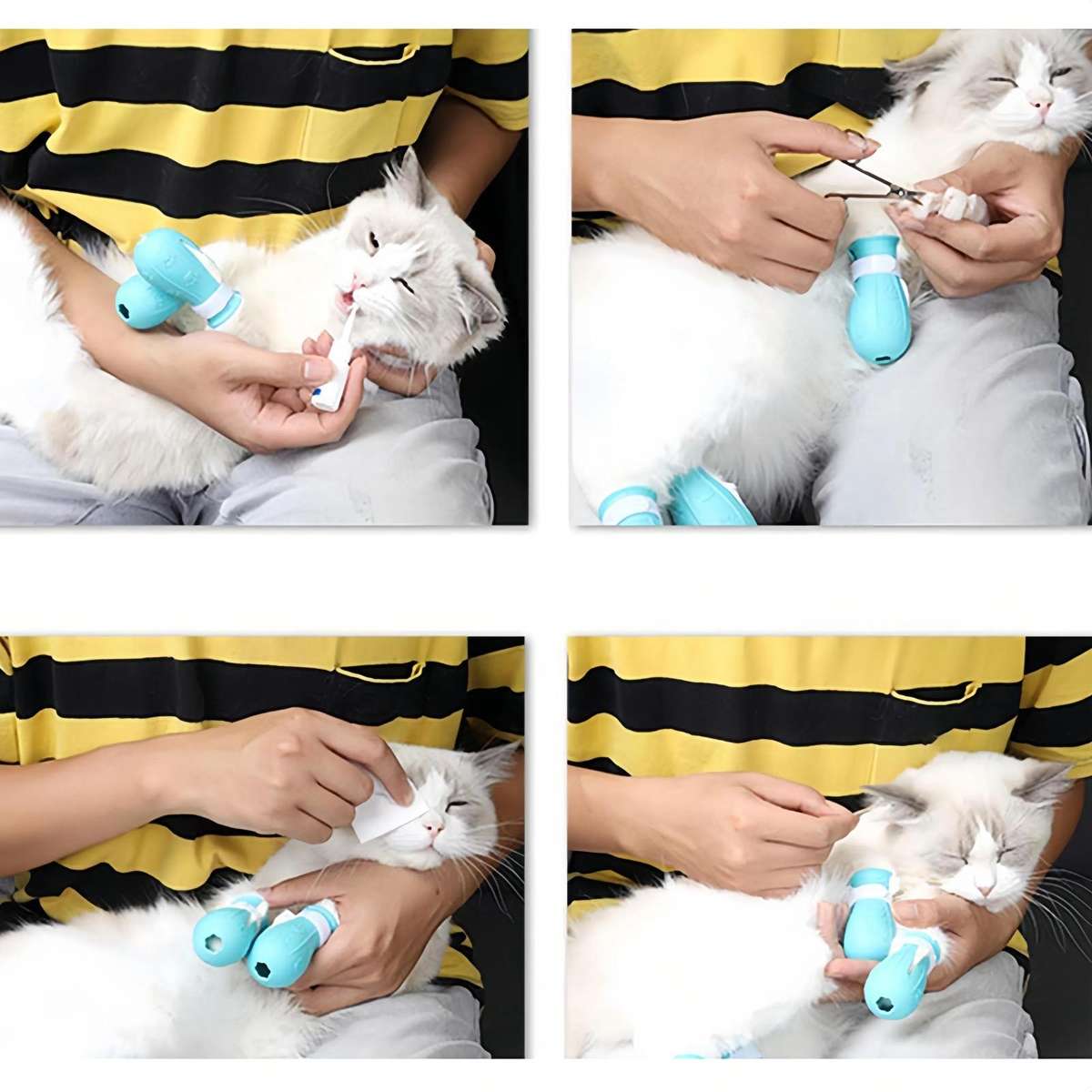 Cat Space Hood Anti-Bite Mouth Cover + Second-Generation Foot Cover, Color: Small Light Green