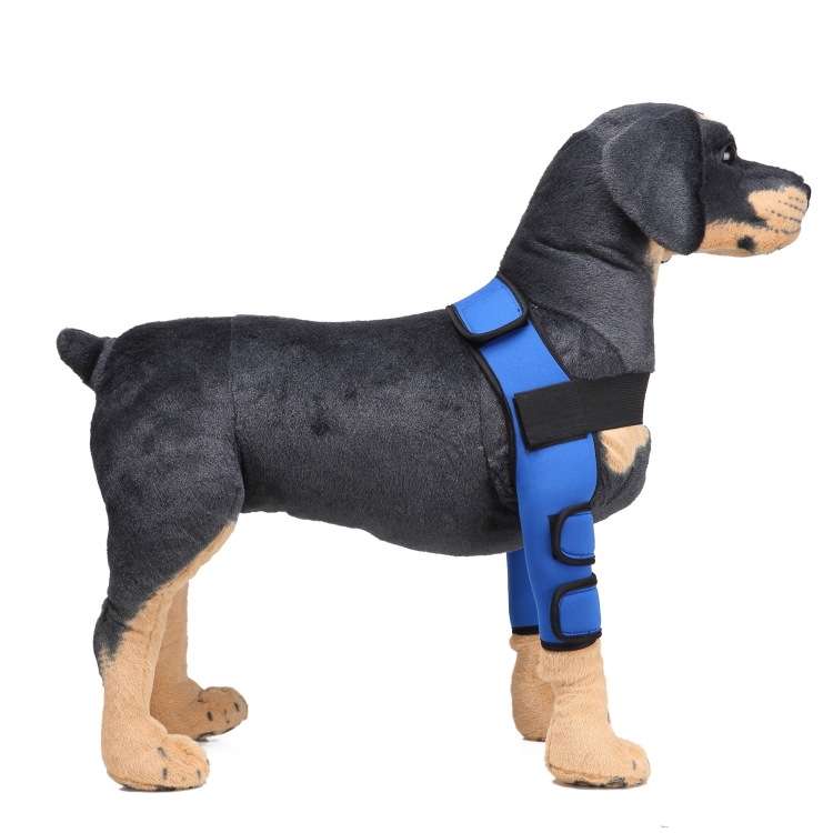 Pet Dog Leg Knee Guard Surgery Injury Protective Cover, Size: L(Classic Model (Blue))