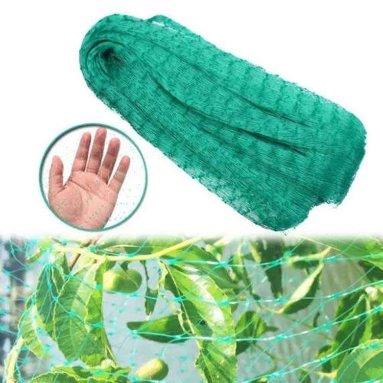 5Mx10M Anti Bird Protection Net Mesh Garden Plant Netting Protect Plants and Fruit