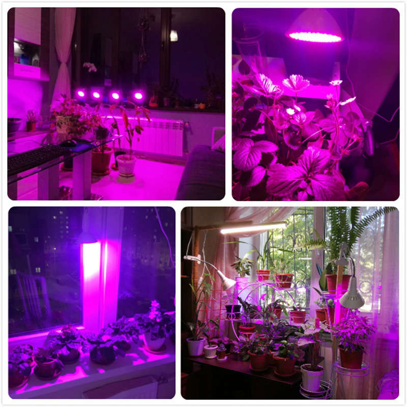 Grow Light 200 LED Plant Grow Light Bulb 360 Desk Clip Flexible Growth Lamp for Greenhouse Flower