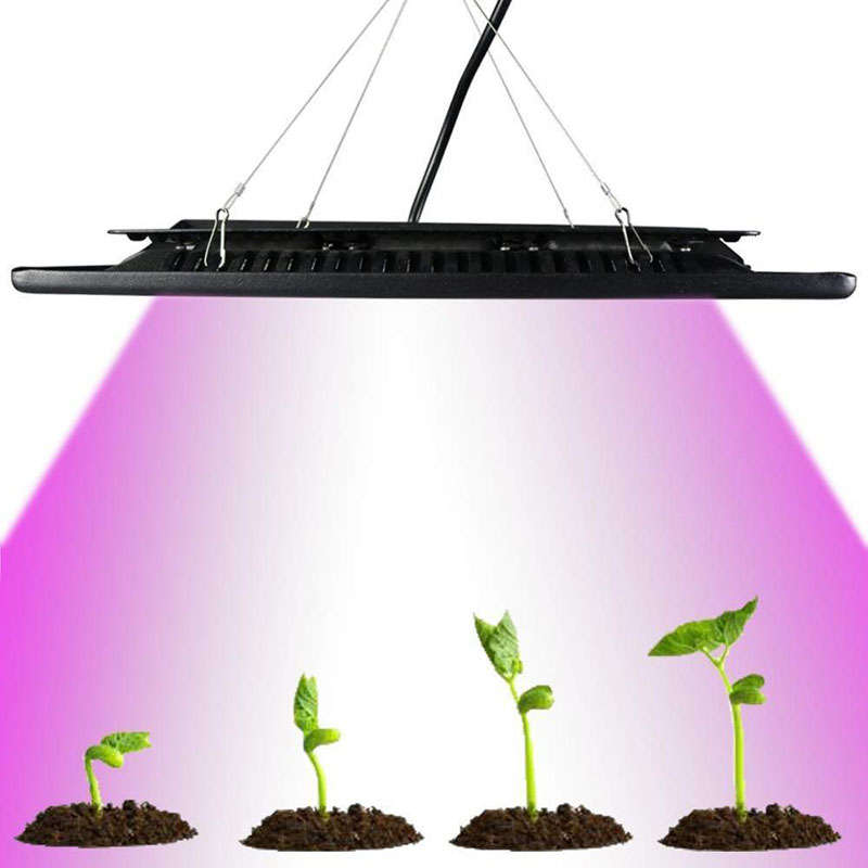 150W LED Grow Light Garden Plant Veg Hydroponicn Waterproof COB Full Spectrum LED Grow Lamp