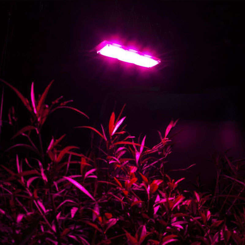 150W LED Grow Light Garden Plant Veg Hydroponicn Waterproof COB Full Spectrum LED Grow Lamp