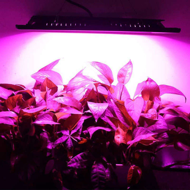 150W LED Grow Light Garden Plant Veg Hydroponicn Waterproof COB Full Spectrum LED Grow Lamp