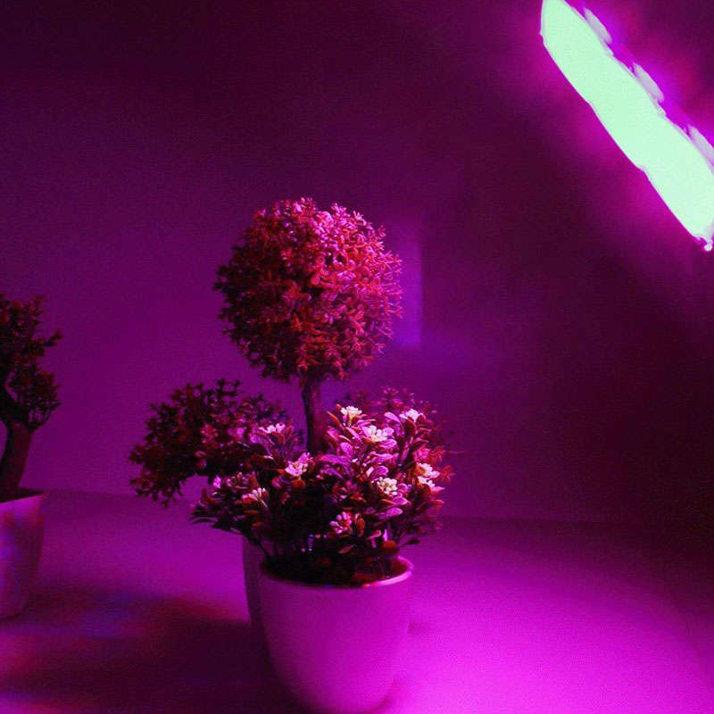 150W LED Grow Light Garden Plant Veg Hydroponicn Waterproof COB Full Spectrum LED Grow Lamp