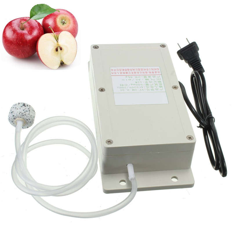 220V Ozone Generator Household Ozone Disinfection Machine For For Air Foods Fruits Vegetables Water