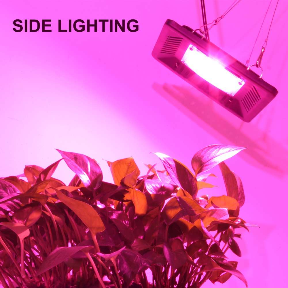 100W Indoor Garden Double Cob LED Grow Light Full Spectrum Ultra-Thin Growth Lamp for Flower Vegetab