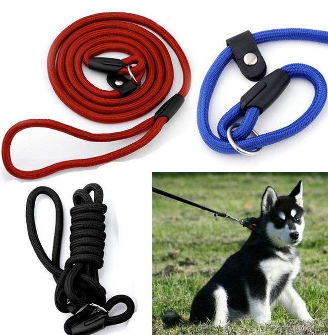 Nylon Rope Pet Dog Slip Training P-Leash Walking Leading Collar