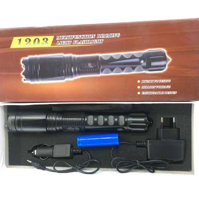 1203 protection flashlight