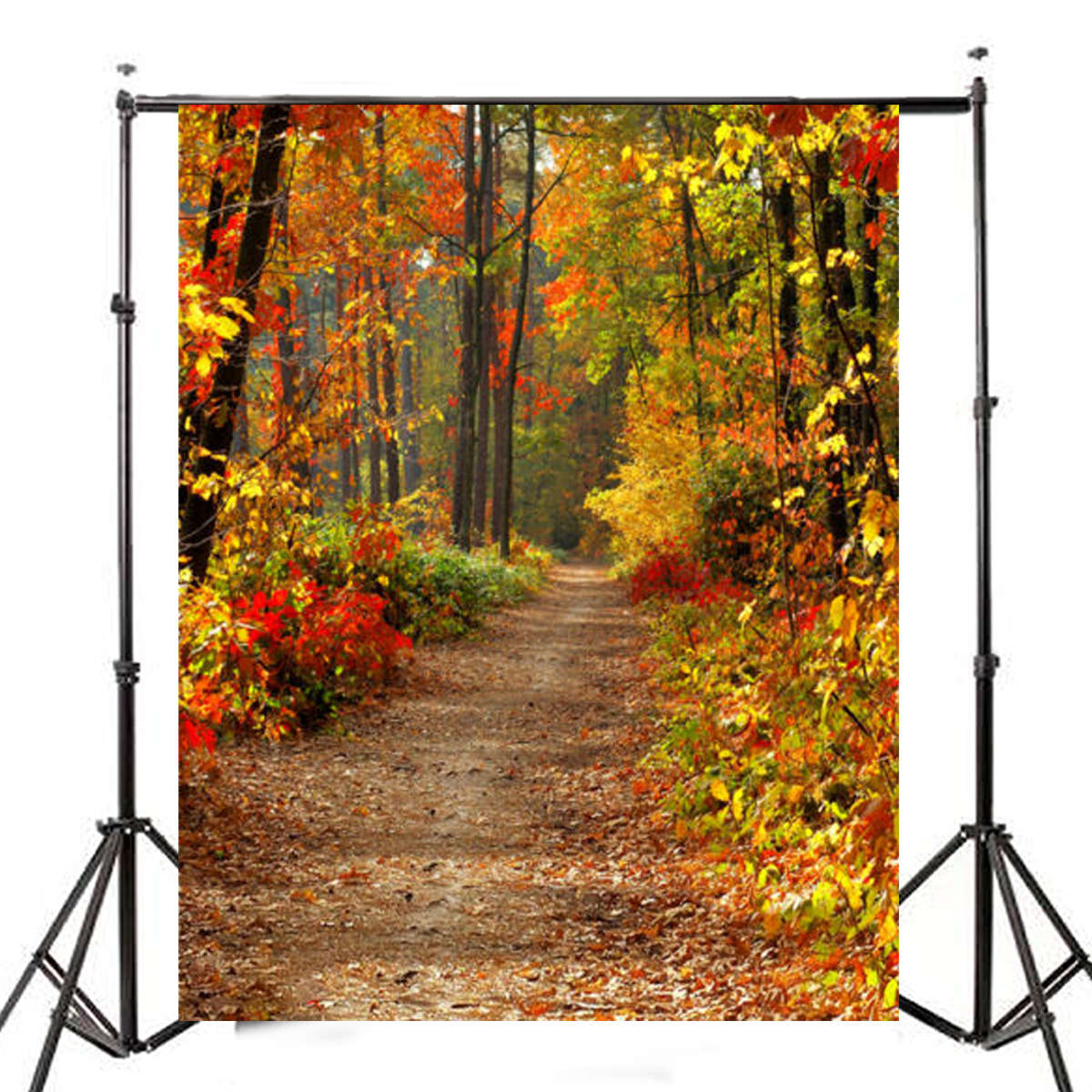 7x5FT Autumn Forest Path Theme Photography Vinyl Backdrop Studio Background 2.1m x 1.5m