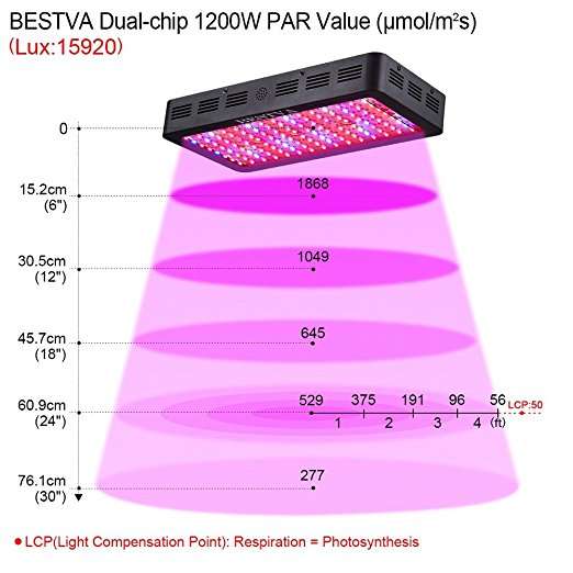 1200W Double Chips LED Grow Light Full Spectrum Grow Lamp for Greenhouse Hydroponic Indoor Plants