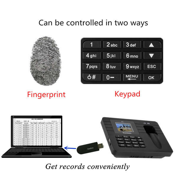 Time Recorder TFT Screen Clocking In Clock Machine Employee Attendance Check Fingerprint+Password Bu