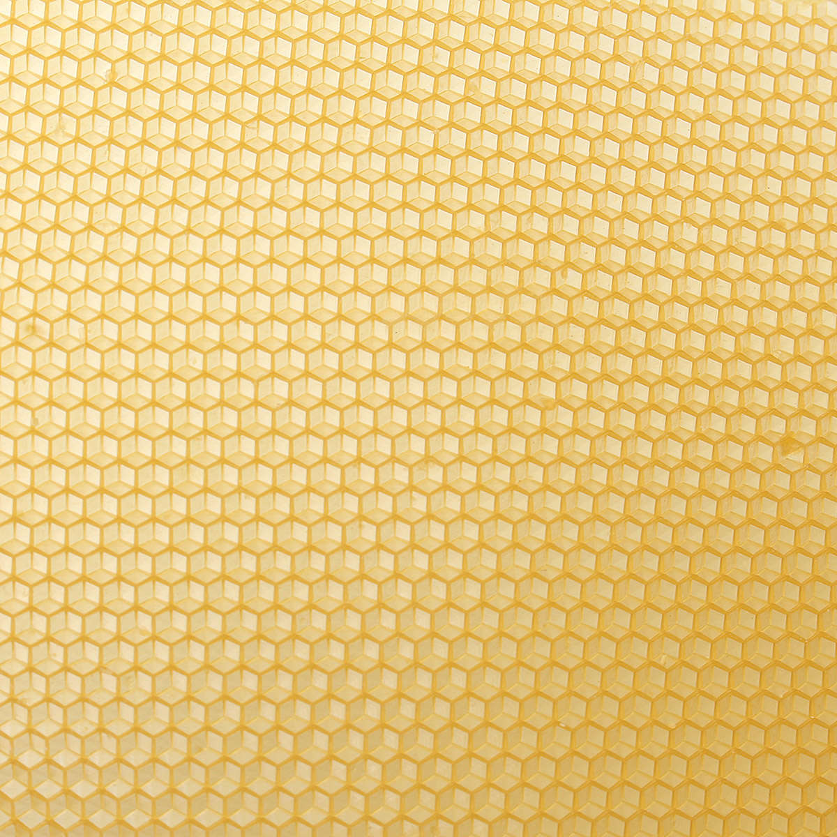 10Pcs Honeycomb Wax Frame Beekeeping Foundation Honey Hive Equipment Tool