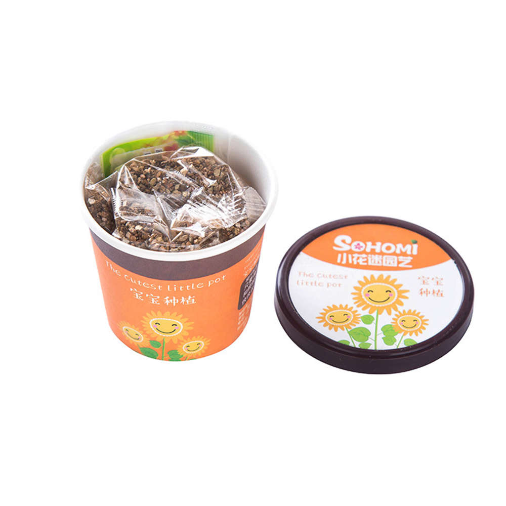 Creative Micro Landscape Mini Cute Little Flower Pot DIY Small Bonsai Plantas Ecological Plant Seeds