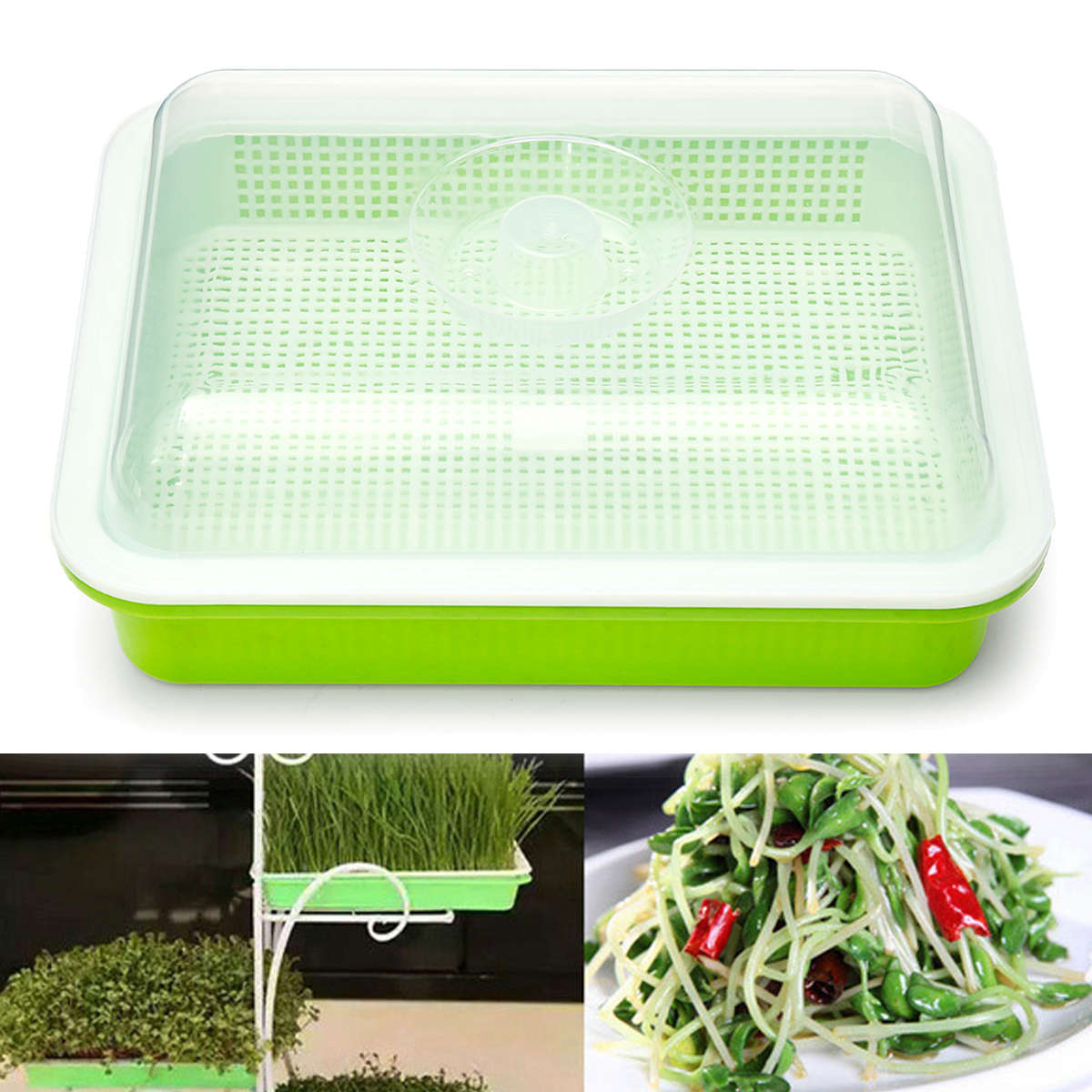 Seed Sprouter Tray Free PP Soil-Free Big Capacity Healthy