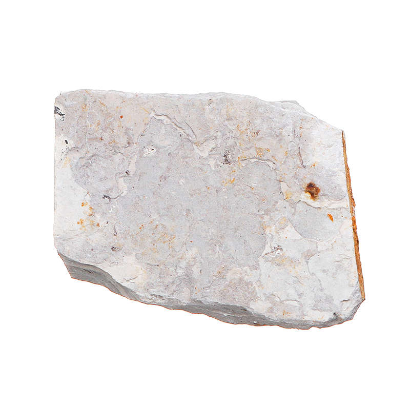 Lycoptera Davidi plate specimen Jurassic to Cretaceous Real Fish Fossil China Decorations