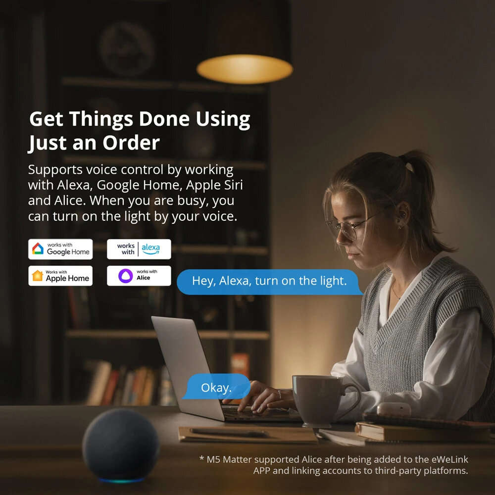 2 Gang - SONOFF M5 Matter WiFi Smart EU Wall Switch ESP32 Two-way eWeLink-Remote Switchman Voice Con