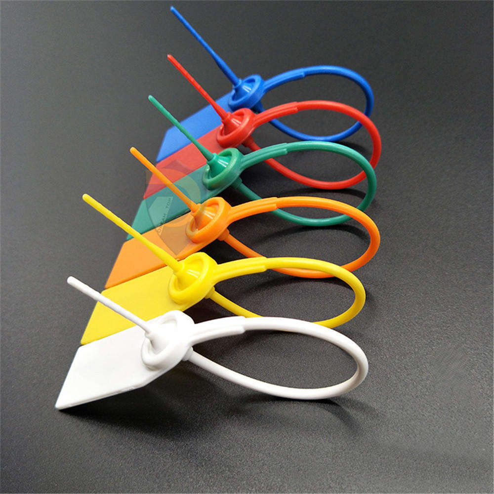 100Pcs Plastic Seal Security Tags Numbered Pull Ties Padlock Tamper-Proof Buckle Sample Seal Strap