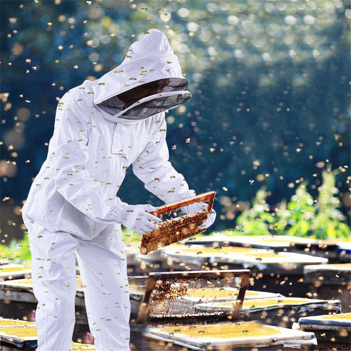 Professional Cotton Full Body Beekeeping Bee Keeping Clothing Tools Set w/ Veil Hood L/XL/X (Size L)