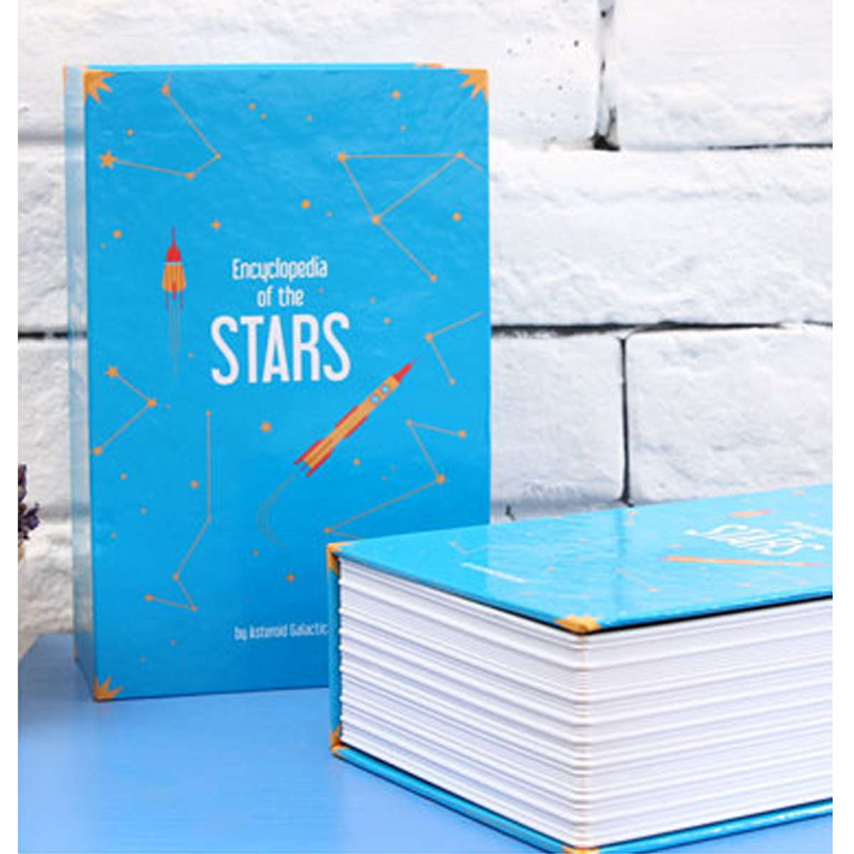 Dictionary Cash Money Jewelry Storage Box Locker Book Secret Hide Security Safe