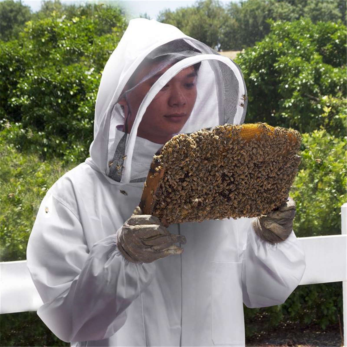 Professional Cotton Full Body Beekeeping Bee Keeping Clothing Tools Set w/ Veil Hood L/XL/X (Size L)