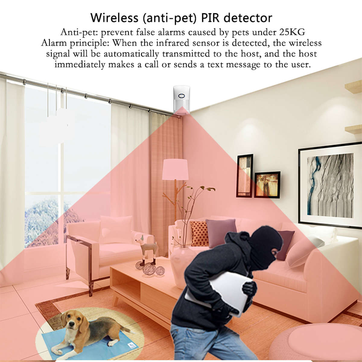 Home WIFI GSM GPRS Home Security Alarm System Auto Dialing + PIR Sensor (Type B)