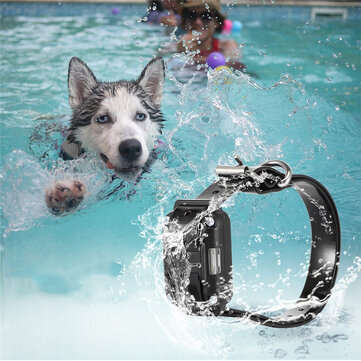 800M Remote Control Electric Dog Collar Pet Snoring Device Shock Agility Collar Waterproof Rechargea