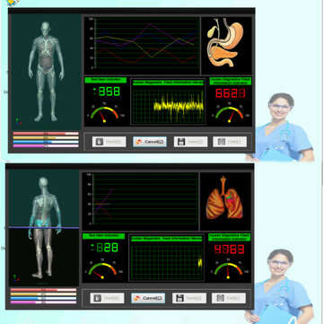 3D NLS Monitor Diagnostics Quantum Health Body Analyzer Magnetic Bioresonance