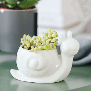Ceramic Succulent Plant Container Flower Pot Planter Holder Vase Animal Shape Decorat... (SHAPE1: C)