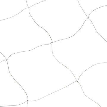 15x5m Anti Bird Mesh Mist Net 20mm Hole Orchard Protect Prevent Sparrow