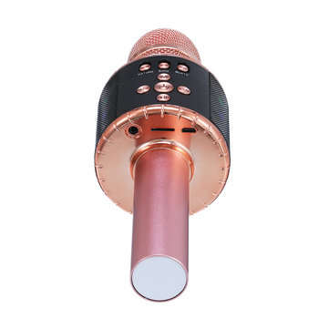 bluetooth Wireless Karaoke Microphone Handheld Microphone with Dynamic Light for Children and Adults