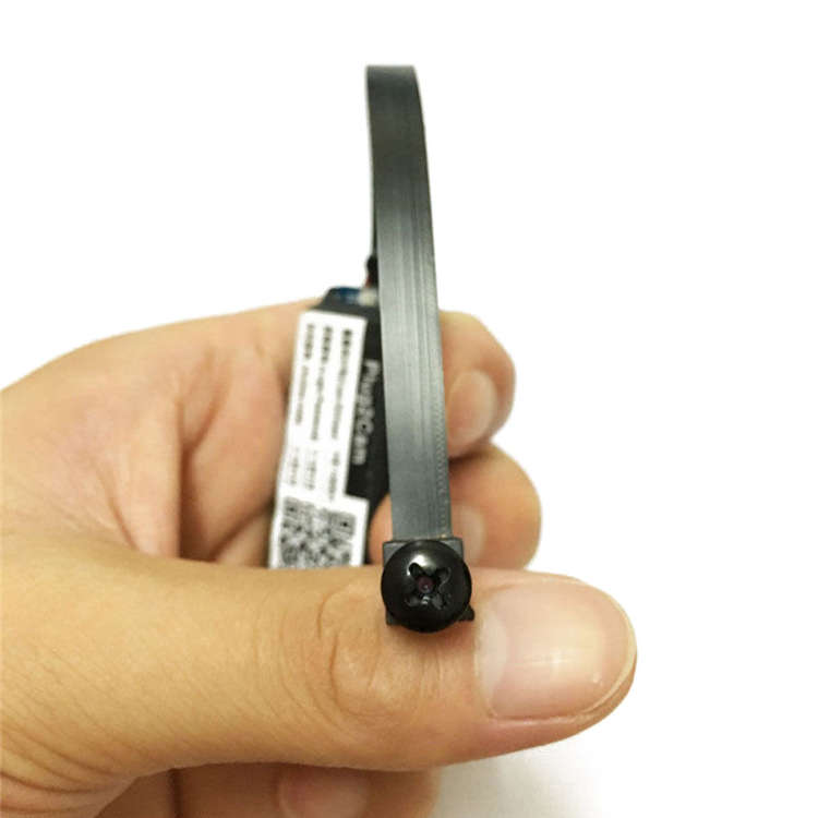 DANIU Mini Wireless Hidden Camera WIFI IP Pinhole DIY P2P Video Camera Support TF Card Audio...