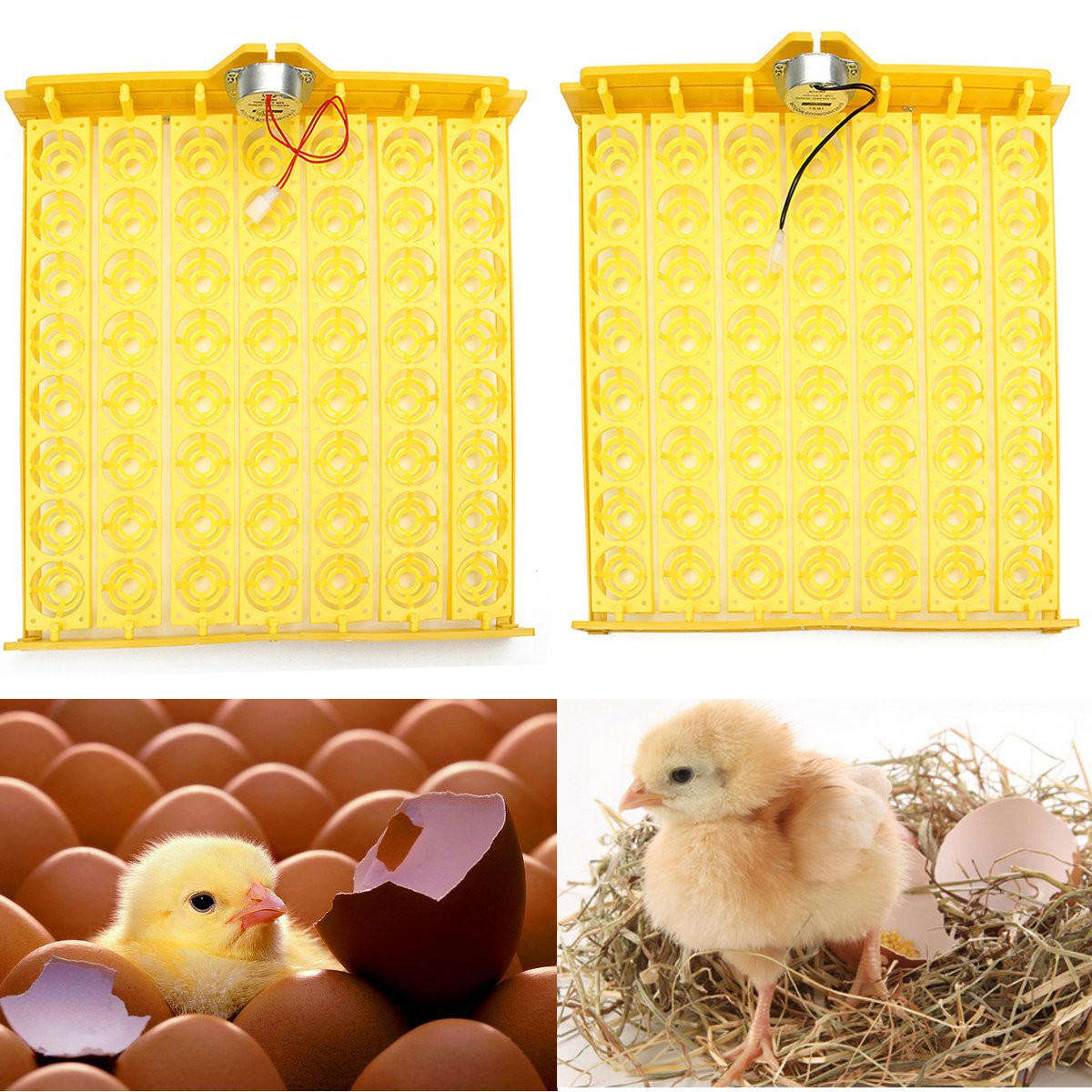 Automatic Egg Incubator 56 Eggs Turner Tray Chicken Quail Duck With 110V/220V - 220V