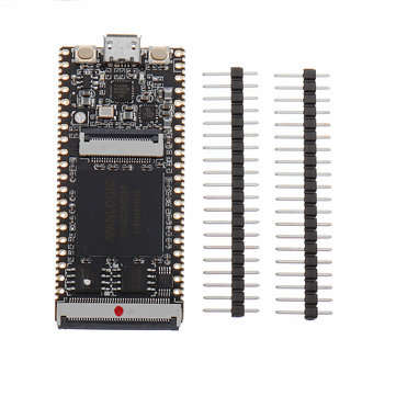 Lichee Tang 64Mbit SDRAM Onboard FPGA Downloader Dual Flash RISC-V Development Board