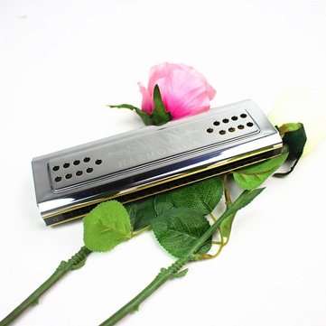 Swan SW24-12 24 Holes Double Sided Key C G Harmonica