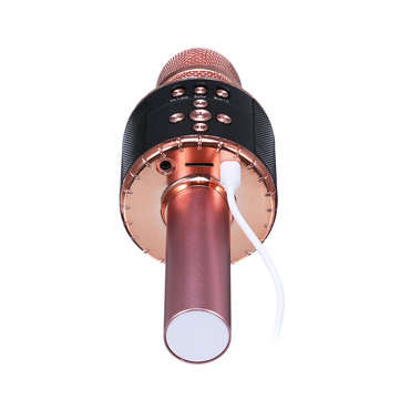 bluetooth Wireless Karaoke Microphone Handheld Microphone with Dynamic Light for Children and Adults