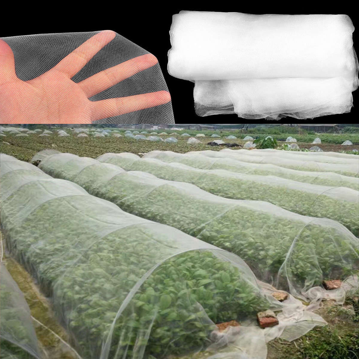 10M/6M x 2.5M Garden Bird Net Netting Vegetables Pest Plant Crops Protect Mesh Anti Bir...-(Size 6M)