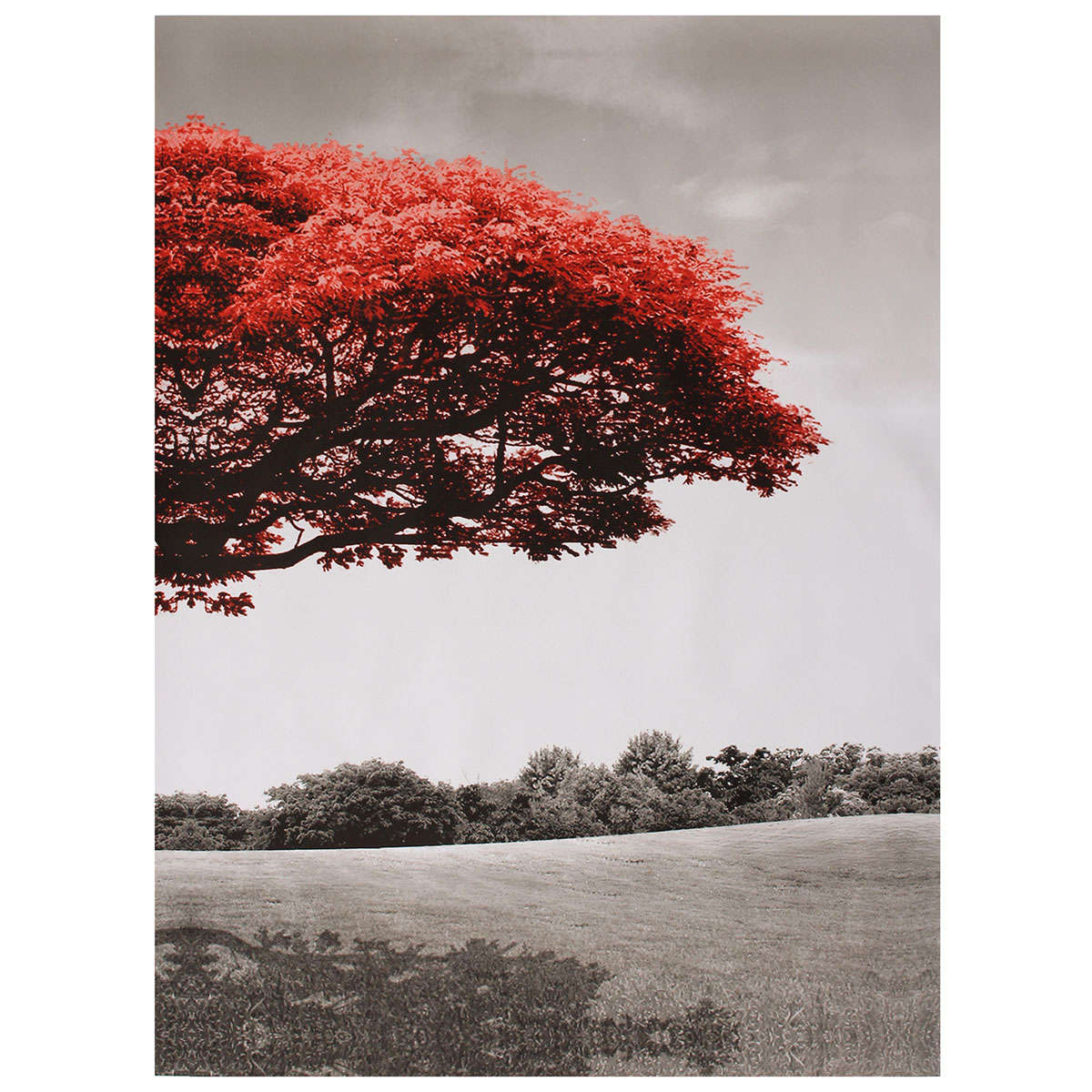 3 Pcs Wall Decorative Paintings Red Tree Canvas Print Art Pictures Frame