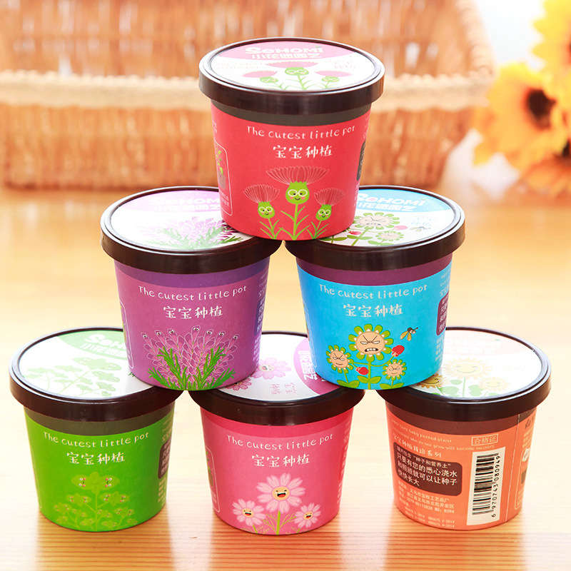 Creative Micro Landscape Mini Cute Little Flower Pot DIY Small Bonsai Plantas Ecological Plant Seeds