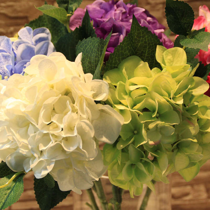 Egrow 50Pcs Vanilla Strawberry Hydrangea Flower Seeds Planting Flower Bonsai Tree Seeds